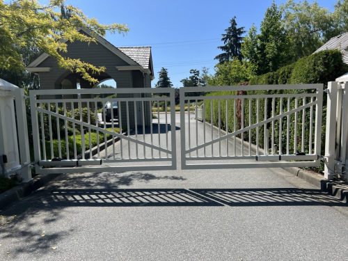 TG25 Aluminum Double Swing with Hydraulic Arms in Delta